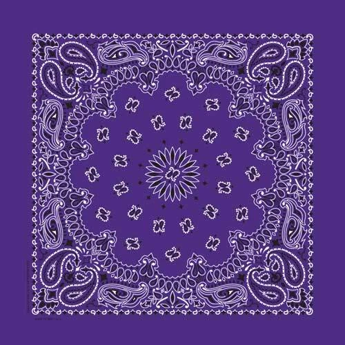 Bandanas Hav-A-Hank Hechas en EE. UU. 100 % Algodón Paisley 22"X22" Foto 1 de 1