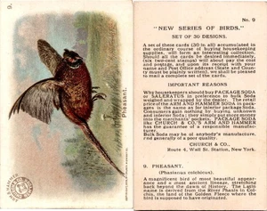 J4, Church & Dwight, New Series of Birds, 1908, #9 Pheasant - Picture 1 of 1