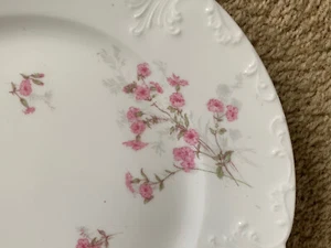 6 PLATOS DE CENA GDA Limoges 9 7/8"" Flores Rosadas Dispersas Hojas Verdes En relieve - Imagen 1 de 5