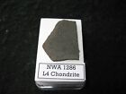NWA 1286 L4 chondrite meteorite slice classified in display case 8.0g