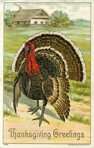 Thanksgiving Greetings Turkey farm field farmhouse Postcard - Picture 1 of 2