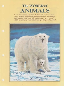 The World of animals collection 15 sets from various countries on 15 pages.. - Picture 1 of 12