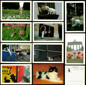 SALE! 10 COLOR PHOTO POSTCARDS, CATS~ FRANCE, GERMANY~ 1988~ Printed Japan ~ NEW - Picture 1 of 5