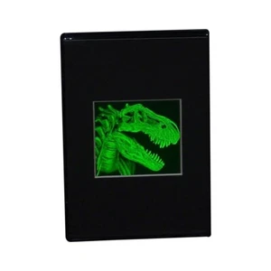T- Rex Head 2-Channel Hologram Picture DESK STAND, Collectible Hologram Picture - Picture 1 of 7