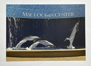 Dolphin Falls Maui Ocean Center The Hawaiian Aquarium Postcard Unposted - Picture 1 of 3