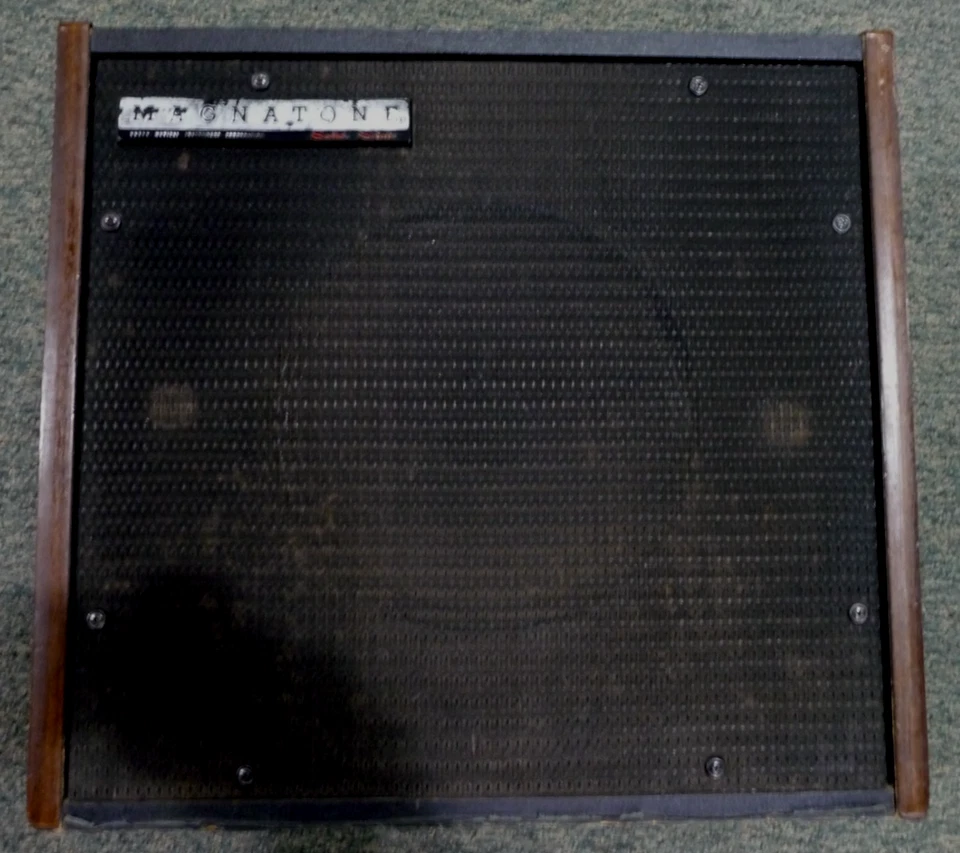 Magnatone 定制 130V 放大器 罕见 固态放大器 Estey 出品 — 第 1/4 张图片