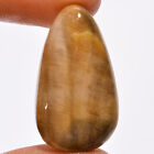 Natural Petrified Wood Egg Shape Cabochon Gemstone 25.5 Ct. 28X16x7 Mm Ee-39898