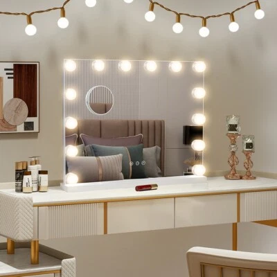 LED Hollywood Makeup Mirror Large Vanity Light Mirror with 14 Dimmable LED Bulbs