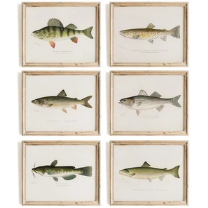 Fish Wall Art Prints (Set of 6) - Unframed - 8x10s | Vintage Fishing Decor - ... - Picture 1 of 9
