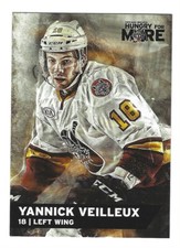 2015-16 Chicago Wolves (AHL) Yannick Veilleux (Eisbären Berlin)