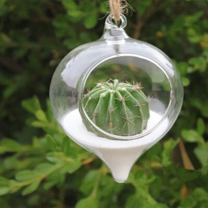 Round Globe Terrarium Air Plant Planter, Hanging Vase Glass Hanging Clear - Picture 1 of 5