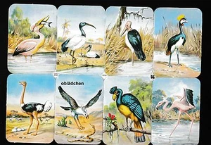 # GLANZBILDER # alter Bogen EAS 3091 Bogen mit 8 Vogel - Bildern sehr selten ! # - Bild 1 von 1