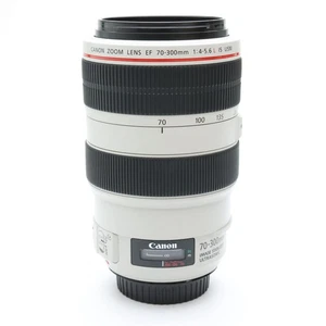 Canon EF 70-300mm F/4-5.6L IS USM (Canon EF mount) #58 - Picture 1 of 12