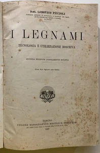 PICCIOLI I LEGNAMI TECNOLOGIA BOSCHIVA UTET 1927 611 FIGURE NEL TESTO legno - Picture 1 of 6