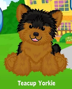 Webkinz Classic Teacup Yorkie - hm788 - Virtual Adoption Code Only - Picture 1 of 1
