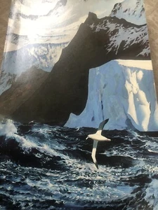 Birds in Art (Taschenbuch) 1986 LEIGH YAWKEY WOODSON ART MUSEUM - Bild 1 von 3