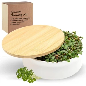 Sprouts Growing Kit, for a Variety of Sprouts, Microgreens, and Bean Sprouts,... - Picture 1 of 5