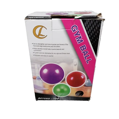 Nueva pelota de yoga Beyond The Top Jym Ball con bomba de aire 65 cm plateada Foto 1 de 4