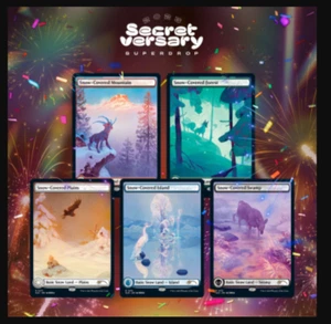 MTG SLD Paradise Frost Secret Lair Magic the Gathering Snow Lands Full Art Non - Picture 1 of 3