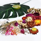 Artistic Touch Mixed Dried Flower Plant Candle Set For Diy Resin Projects