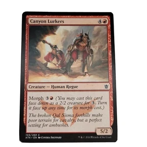 MTG Magic The Gathering Creature Human Rogue Canyon Lurkers 5/2 2014 - Picture 1 of 2