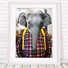 501018 Elephant - Urban Jungle Street Wear Animal 16x12 WALL PRINT POSTER
