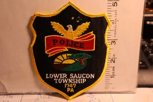 police patch  LOWER SAUCON TOWNSHIP POLICE PENNSYLVANIA - Picture 1 of 1