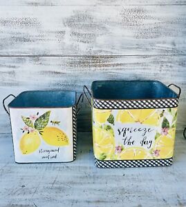 Squeeze The Day Lemons Galvanized Metal Bins Set Of 2