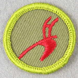 AGRICULTURE 1961-1968 Type F Rolled Edge Khaki Twill Merit Badge - Picture 1 of 1
