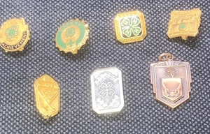 Collection Of 7 Vintage 4-h pins Record Garden Safety Achievement WI - Picture 1 of 9