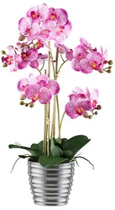 Phalaenopsis 62 cm orchidea in vaso di ceramica argento 15 x 13 cm, pianta artificiale Real Touch - Foto 1 di 2