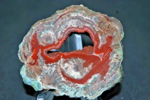 AGATES DE FRÉJUS ( VAR ) LITHOPHYSES DE L'ESTEREL - Imagen 1 de 5