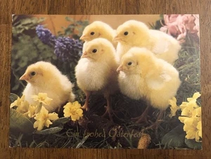 German Easter Postcard - Chicks & Flowers - Ein frohes Osterfest (WP6) - Picture 1 of 2