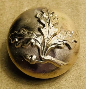 Ex Rare Antique ACORN brass Button, Ca. 1890s/early1900s, Backmarked - Picture 1 of 2