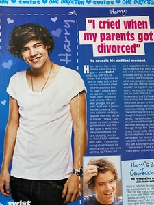 Harry Styles, One Direction, ganzseitiges Vintage Pinup - Bild 1 von 1