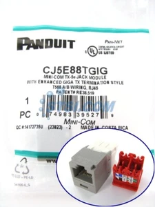 Panduit CJ5E88TGIG Cat5e Mini-Com Jack Gray ~STSI - Bild 1 von 3