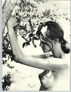 1962 Sam Haskins Female Model Outdoor Nude Breasts Nipples Tree Photo Gravure - Picture 1 of 1