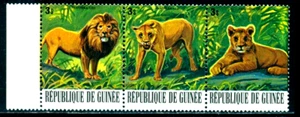 1977 Wild animals,The lion (Panthera leo),large cat,Guinea,802,MNH - Picture 1 of 1