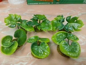 6 Based Jungle Elephant Ear Plants Mix wargaming scenery terrain 1.5" Tall - Picture 1 of 4