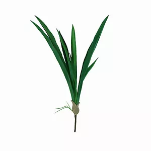Artificial Cymbidium Leaves Bush 58cm - Picture 1 of 1