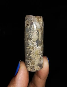 MADERA PETRIFICADA RARA, FÓSIL DE CALCEDONIA BOTRIOIDAL DE JAVA, INDONESIA, 45 MM - Imagen 1 de 5
