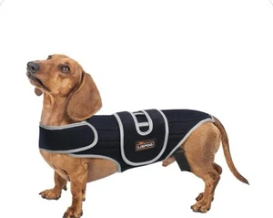 Lispoo Tutore Schiena per Cani per Dischi Scivolati ed Ernie - Taglia Small - Foto 1 di 4