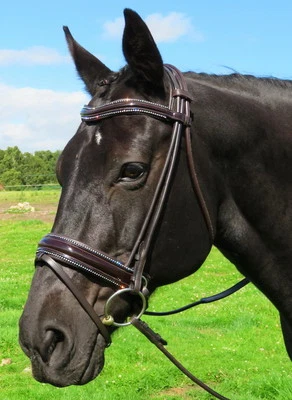 FSS Немецкая Кривая U ХРУСТАЛЬНАЯ КРОМКА ТРУБОПРОВОДА БЛЕСТЯЩАЯ Прокатанная Комфортная ЗАПАТЕНТОВАННАЯ ГАВАНСКАЯ Уздечка - Изображение 1 из 4