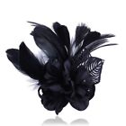 Gift Hair Accesories Lapel Pins Feather Brooch Scarf Clip Flower Broohes Pin