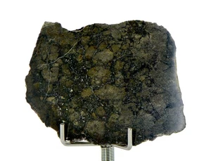 14,5g Eucrite Monomict Slice | HED NWA 8555 - TOP METEORIT - Bild 1 von 5