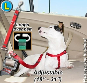 Correa de cinturón de seguridad para tu mascota - Acero inoxidable - Grande - PTST2 - St 5 marrón/azul - Imagen 1 de 2
