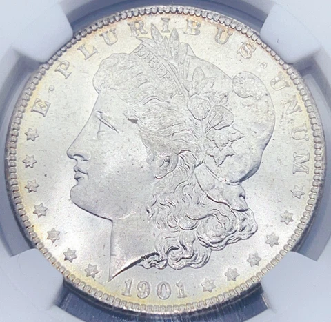 1901-O NGC MS65 Morgan Silver Dollar 956084 Cover