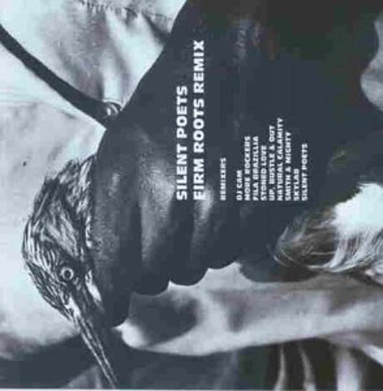 Silent Poets - vs DJ Cam Fila Brazillia Skylab CD NEU - Bild 1 von 1