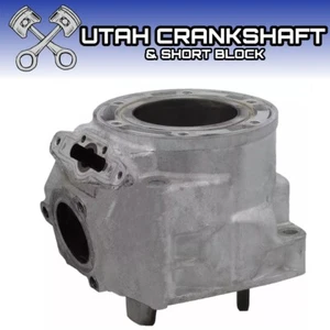 SP1 CYLINDER 2004-2007 ARCTIC CAT 600 F6 M6 CROSSFIRE SABERCAT FIRECAT EFI - Picture 1 of 1