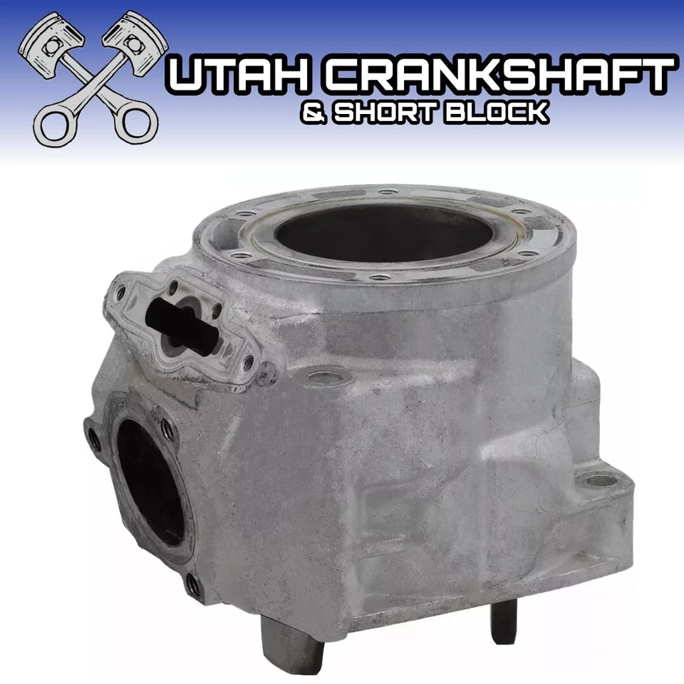 SP1 CYLINDER 2004-2007 ARCTIC CAT 600 F6 M6 CROSSFIRE SABERCAT FIRECAT EFI - Image 1 of 1